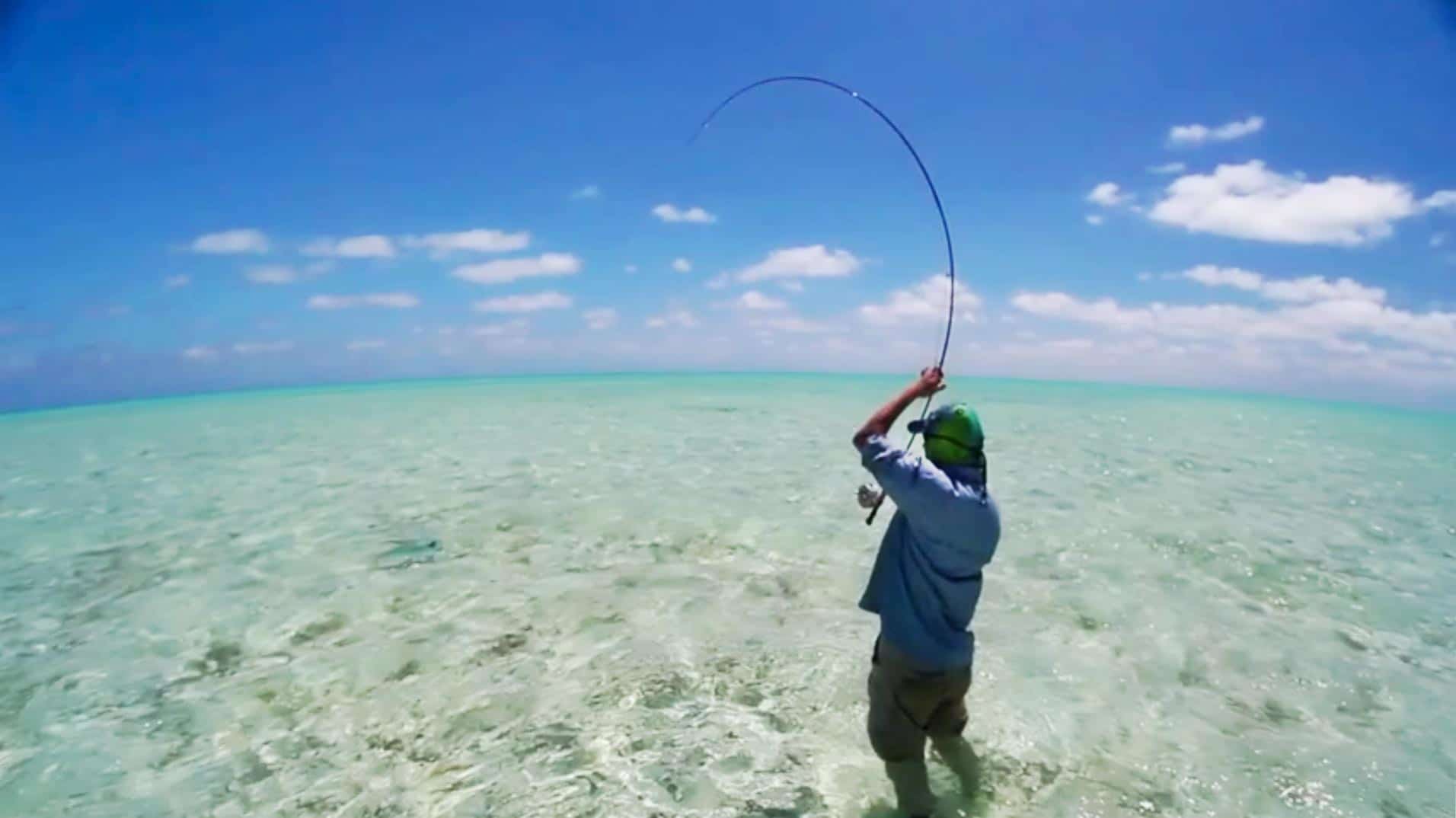 Saltwater Fishing